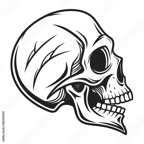 Snow Covered Nature Background in Vector Art 130