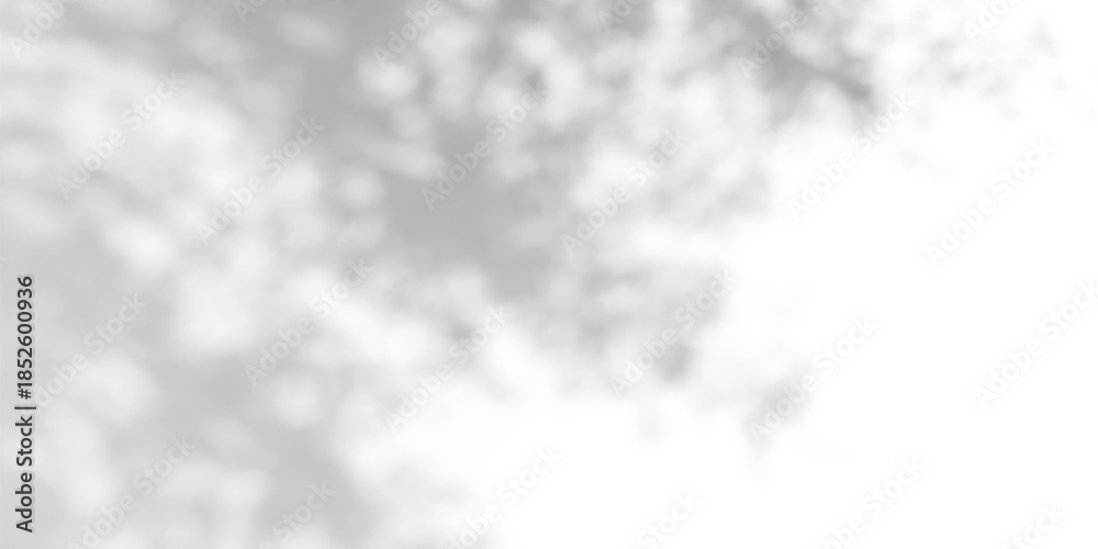 Fototapeta premium Gobo light effect with leaf shadows on white wall - natural sunlight pattern overlay. Tree foliage silhouette - dappled texture for studio background design with soft rays and bright reflections.