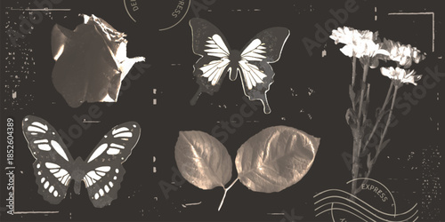Photocopy butterfly and flower vintage grunge collage set with y2k punk effect in monochrome aesthetic. Distressed botanical elements and insects on dark textured background. Vector stamp composition.