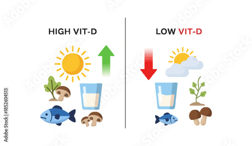 High vs Low Vitamin D Levels Health Comparison Illustration