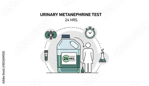 24-Hour Urinary Metanephrine Test Medical Infographic