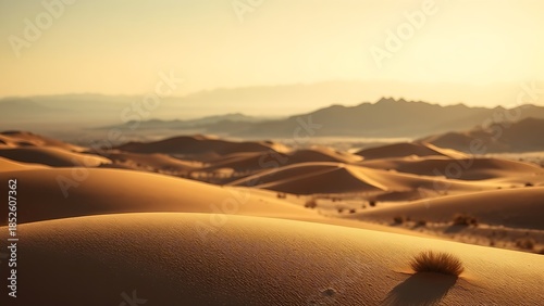 tennessine. Desert landscape with heat waves distorting the view of distant mountains. travel magazines, destination branding, designed for travel destination branding, used by health educators.