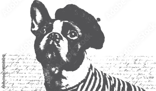 French dog in a beret with stripes. Black and white vector illustration featuring a simple portrait set.