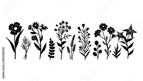Black silhouettes of various wildflowers and plants on a white background, nature illustration