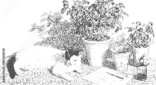 A cat rests beside potted plants in this still life set. Black and white vector illustration captures an indoor gardening scene.