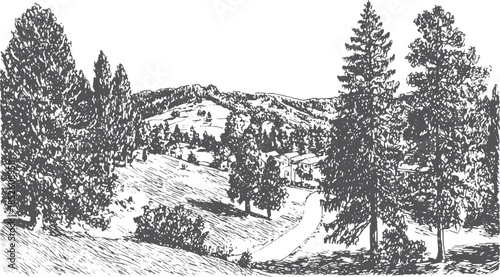 Landscape illustration featuring trees and hills in black and white. This drawing showcases a tranquil rural scene with a winding road, vector artwork.