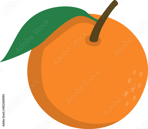 Simple orange fruit vector illustration