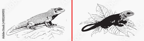 insect illustration vector, beetle sketch clipart, bug line art svg, hand drawn insect drawing, entomology illustration, black insect artwork, nature insect vector art, scientific bug sketch, vintage 