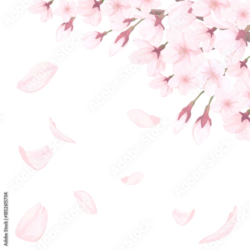 桜_手描きイラスト_満開の桜と舞い散る花びら
