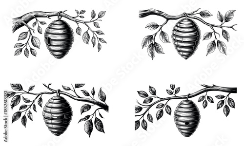Beekeeping hive hanging on tree branch illustration set
