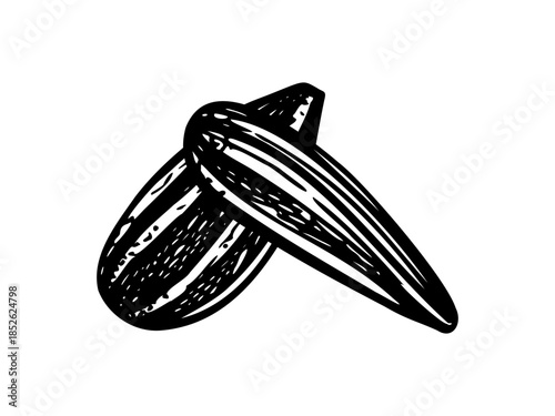 Black hulled sunflower seeds monochrome vector line art black ink sketch. Two oilseeds etching drawing for healthy snack packaging, nutrition blogs, vegan food labels, baking ingredient graphics