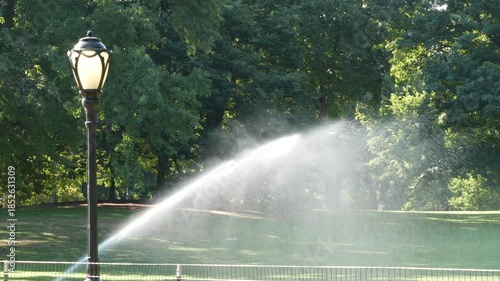 New York City Central Park nature oasis. Green lawn in summer day, United States. Grass greenery, meadow watering in morning light. Autumn fall leaves and street lantern or vintage lamp in NYC, USA.