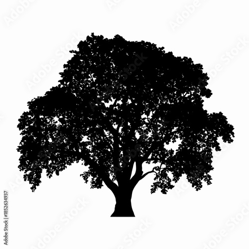 Silhouette of a large leafy tree on a white background