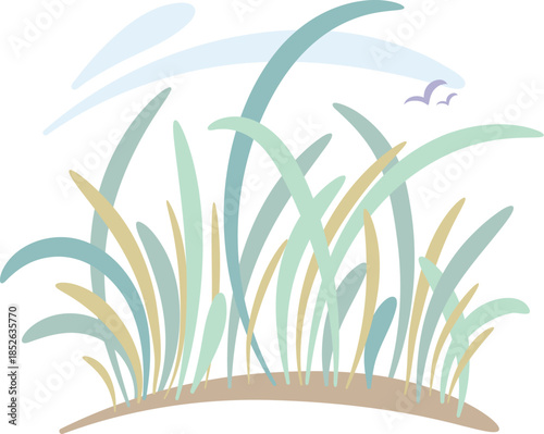 Marsh grass landscape and birds in the sky