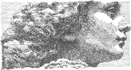 Profile face illustration in monochrome style. Fine line drawing with intricate details and shading, showcasing artistry in this graphic vector.