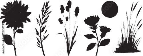 Silhouette flowers and plants in a horizontal layout. Simple black motifs in a set for garden and field decoration, vector illustration.