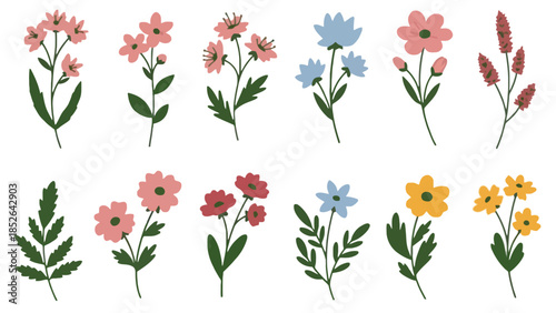 Colorful illustration of various flowers and leaves on white background, floral design elements
