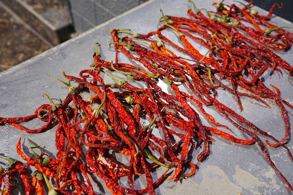 Naklejka premium Pepper, line pepper, dried pepper,