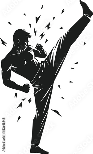 Martial artist performing a high kick