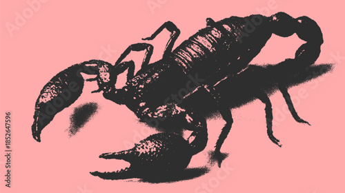 Black scorpion illustration on a pink background. Unique vector art with a minimalist design, ideal for digital use.