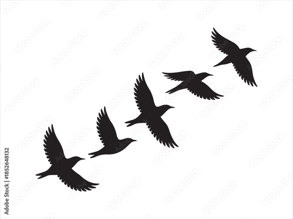 Obraz premium Group of flying birds silhouette illustration vector design. A flock of birds flying in silhouette isolated vector