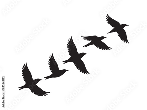 Group of flying birds silhouette illustration vector design. A flock of birds flying in silhouette isolated vector