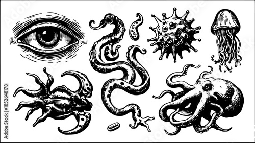 Octopus, jellyfish, and eye in vintage engraving style. Black outline in a detailed set for artistic vector illustration.