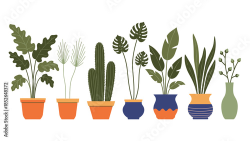 Row of various indoor houseplants and cacti in decorative ceramic pots are presented in a clean and minimal flat illustration style.