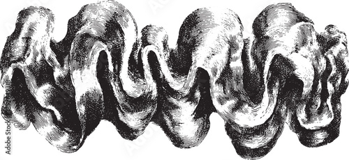 Vintage graphic illustration of a flowing ribbon. Striped black and white vector design with smooth wavy texture and fine details in the set.