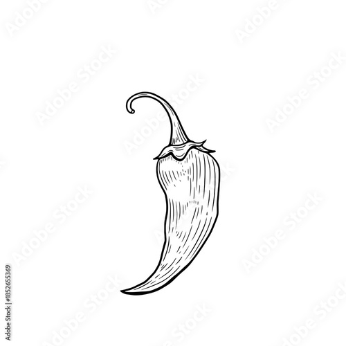 Chili pepper illustration showing the shape and texture of a single pepper on a plain background