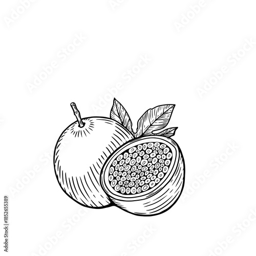Fresh fruit illustration showing whole and halved guava with seeds and leaves on a simple background