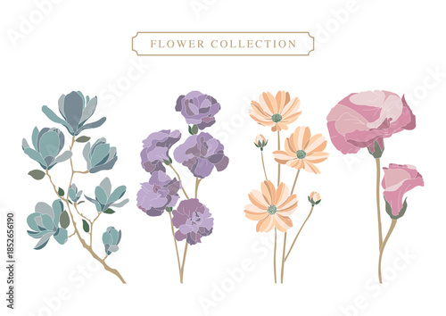 Set Illustration of elegant flowers in various colours