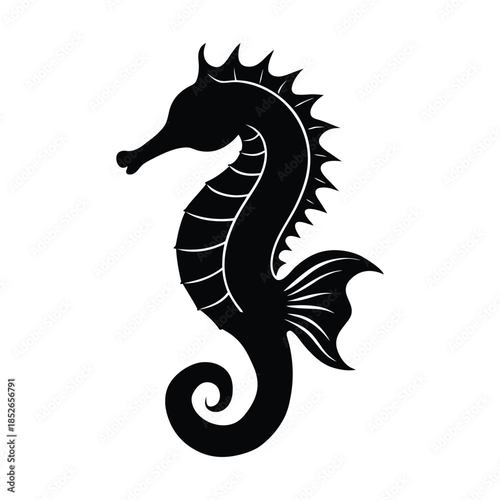 Fototapeta premium Seahorse. vector illustration, Vector illustration of a dragon