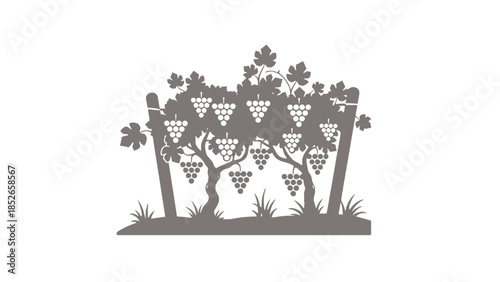 Black silhouette of grapevines with lush leaves and clusters of grapes on trellis