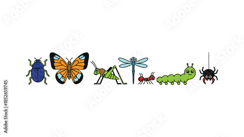 Insect life cycle stages, bug metamorphosis, and colorful cartoon creatures illustration