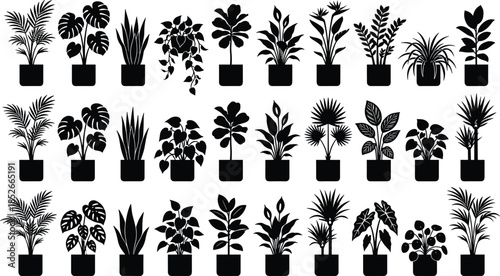 Set of Potted Indoor Houseplant Silhouettes Vector Icons, Featuring Popular Tropical and Decorative Foliage for Home Decor and Botanical Design Elements