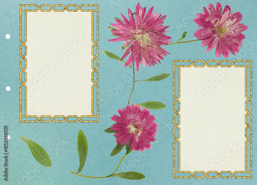 Photo album layout with empty photo frames and dried flowers. Page for history. Scrapbook composition with floral element. Page from photo album. Pressed and dried chrysanthemum flowers.