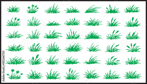 Set of various black silhouette grass tufts and cattail marsh plant sketches on teal background