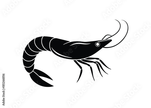 vector-illustration-of-a-shrimp.eps