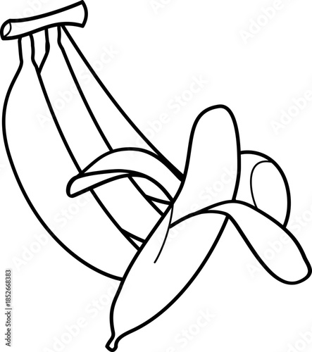 outline illustration of banana for coloring page