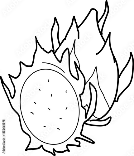 outline illustration of dragon fruit for coloring page