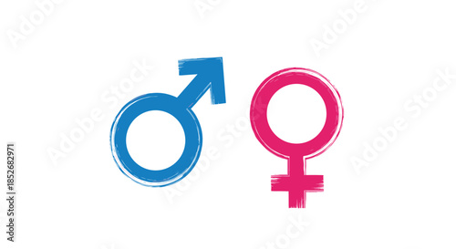 Male and female gender symbols in blue and pink colors with a textured brush stroke effect on a clean minimalist white background.