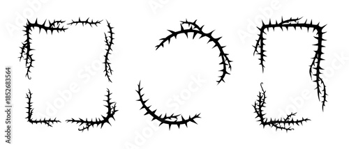 Thorn vine frames and borders vector set. Black twisted thorn branches, barbed stems, creepy patterns. Isolated design elements for tattoos, gothic art, religious symbols.