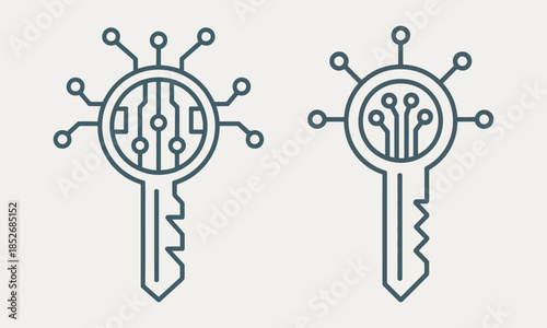 Two circuit board keys with electronic connections, vector illustration