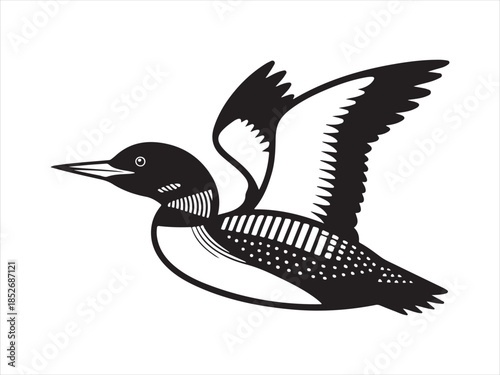Loon Flying Bird Silhouette, Vector, Illustration.  Loon silhouette vector illustration on flying design