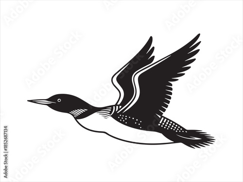 Loon Flying Bird Silhouette, Vector, Illustration.  Loon silhouette vector illustration on flying design