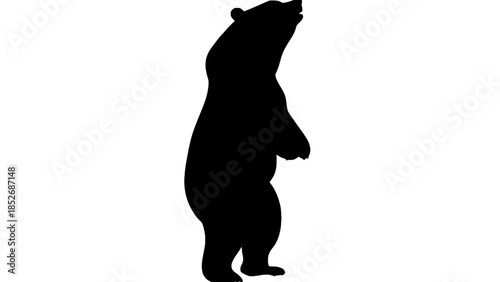 Black bear silhouette standing on two legs against white background