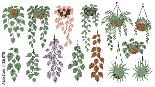 A lush collection of various hanging houseplants in decorative pots, perfect for creating cozy interior scenes. This botanical set features trailing vines and air plants for home decor.
