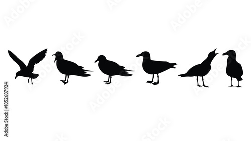 Silhouettes of birds in various poses on white background, black shapes, flock, wildlife