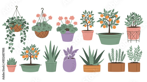 A lovely collection of various potted plants, including flowering geraniums, citrus trees, and succulents. This charming set is perfect for illustrating home gardens, patios, and balconies.